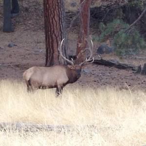 Meet your Posher, Lynn